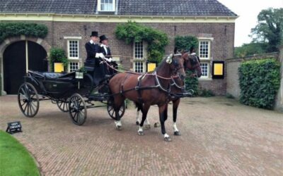 Nieuwe Stichting Stallen, Koetshuizen en Garages